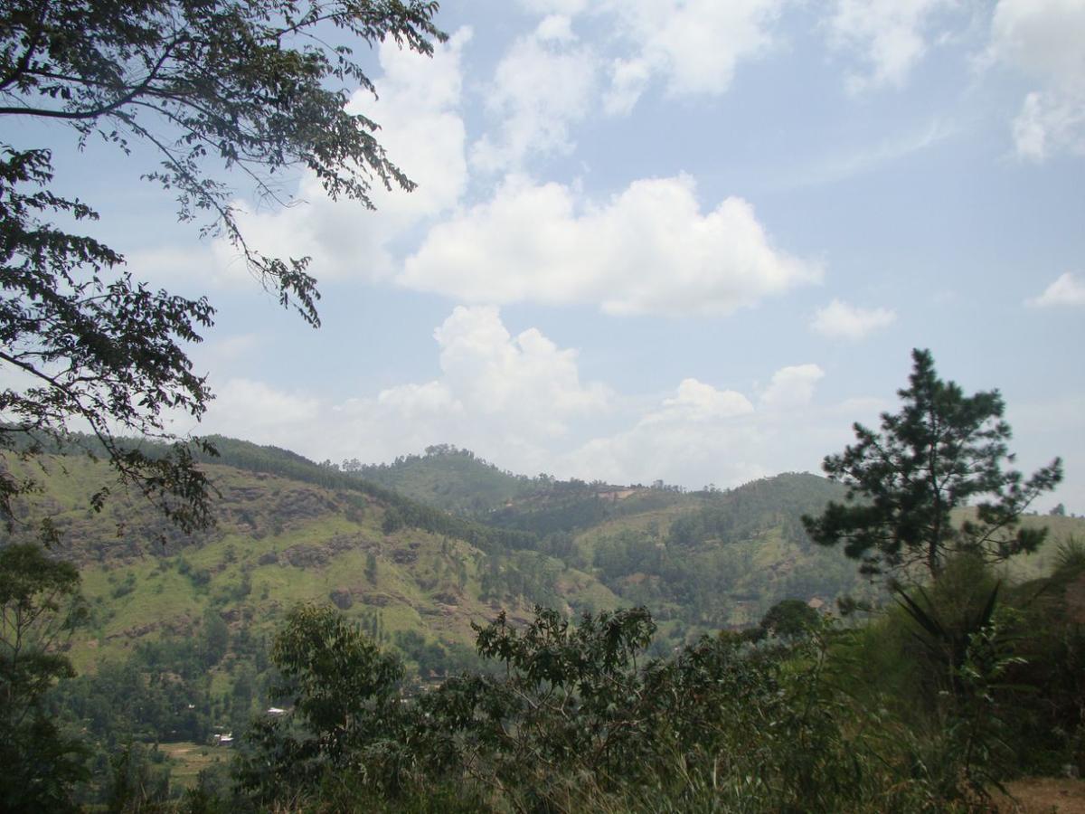 Ella Hotel Upper Hill Kültér fotó