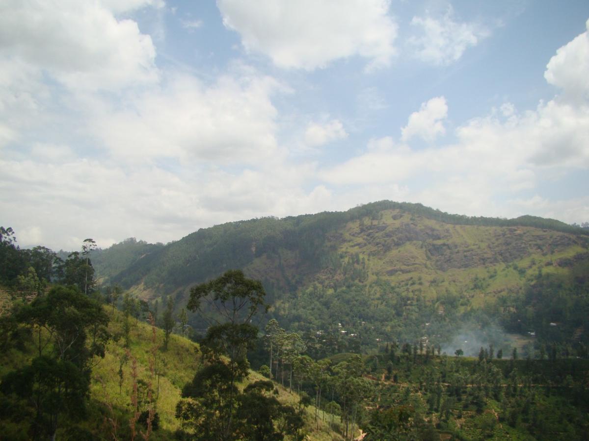 Ella Hotel Upper Hill Kültér fotó